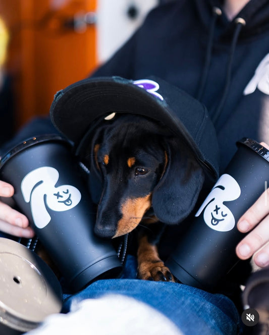 Retrospekt Cups