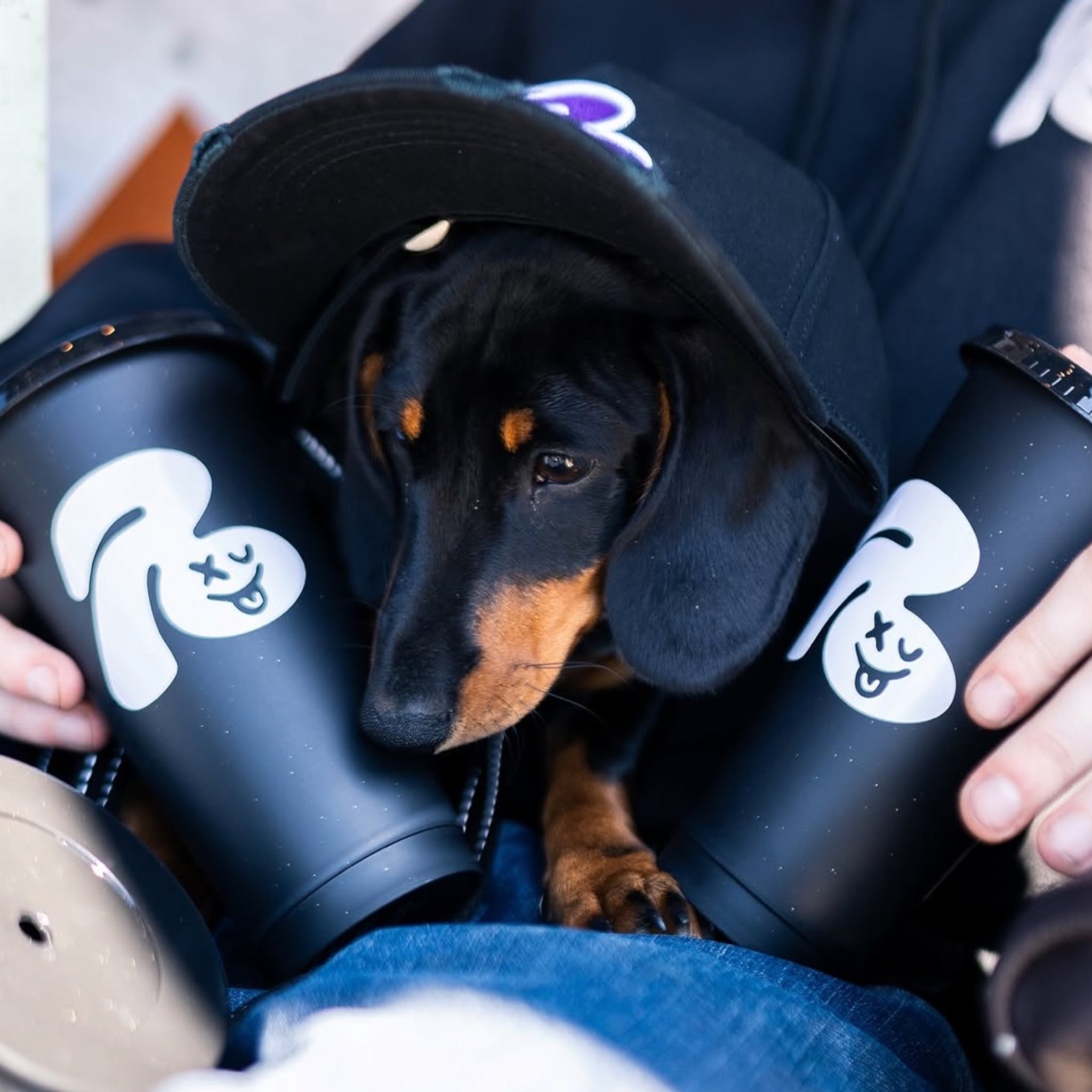 Retrospekt Cups